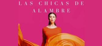 resumen del libro chicas de alambre